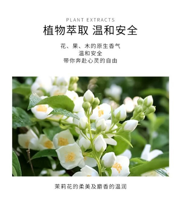 meidun powder mist, jinyang true, my lady sweetheart, eau de perfume, flower and fruit fragrance, natural fragrance, one piece will be sent wholesale.